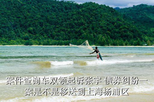 上海市楊浦區(qū)人民*判決，我住楊浦區(qū)我是退休老人上個(gè)月兒子離婚孫女判很了兒子判書(shū)的