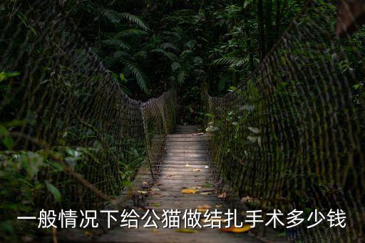 公貓絕育廣州收費多少錢，一般情況下給公貓做結扎手術多少錢
