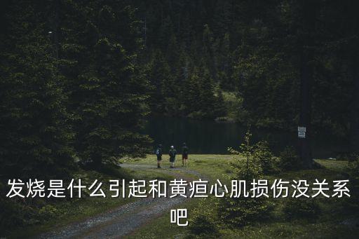發燒是什么引起和黃疸心肌損傷沒關系吧