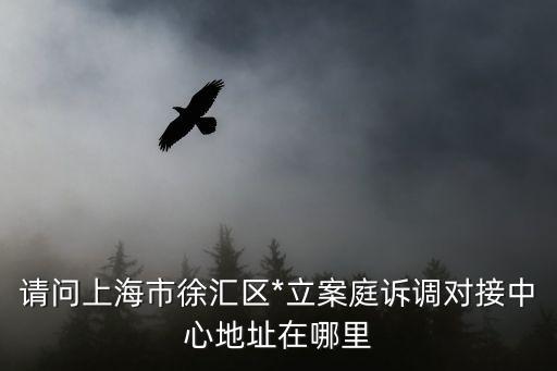 上海市徐匯區(qū)*咨詢，徐匯區(qū)第一中級人民*地址