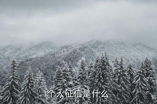 個人信用征信，個人征信是什么