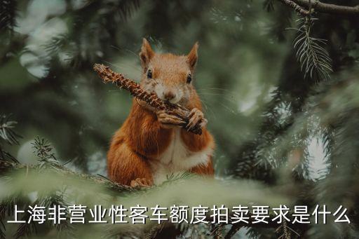 上海市非營業性車輛拍賣，上海非營業性客車額度拍賣要求是什么