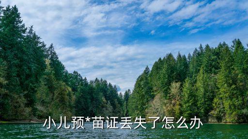 上海市兒童疫苗卡補辦手續，關于小孩疫苗接種卡補辦