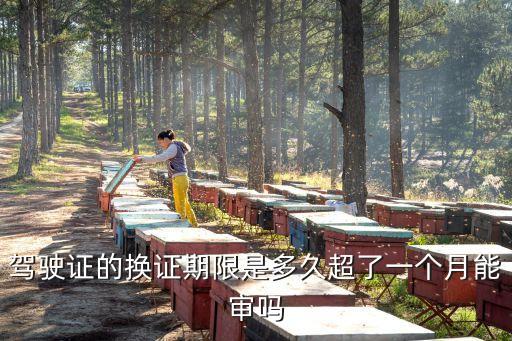 廣州駕照換證期限，廣州駕駛證有效期滿前多長時間申請換證