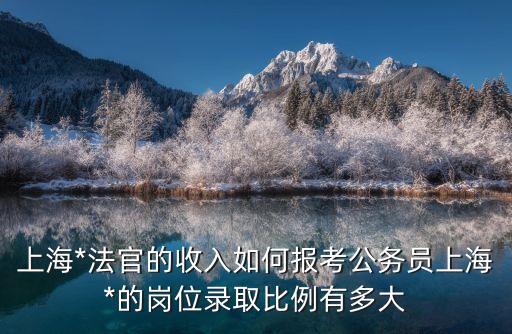 上海市 法官 招錄 條件，上海*法官的收入如何報考公務員上海*的崗位錄取比例有多大