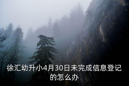 2019年上海市徐匯區(qū)幼升小，外地在上海上學(xué)怎么報名小學(xué)一年需要什么手續(xù)急謝謝在徐