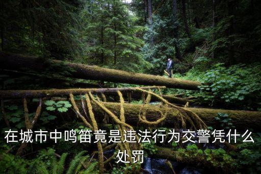 上海市道路交通管理條例 鳴笛，在城市中鳴笛竟是違法行為交警憑什么處罰