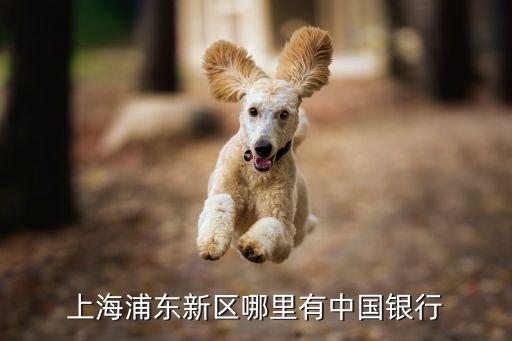 中國銀行上海市楊思支行怎么樣，上海浦東2號線東昌路站附近有中國銀行嗎