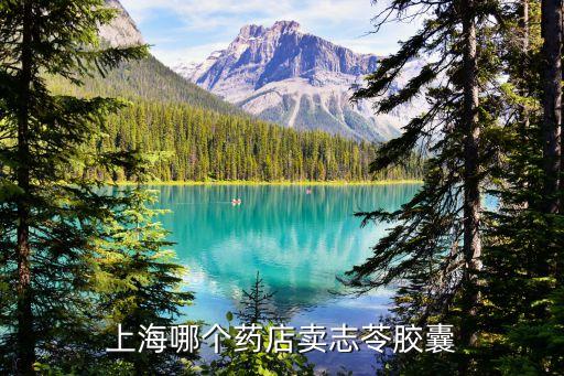 上海市志苓膠囊，志苓膠囊是否是醫(yī)療保障用藥農(nóng)醫(yī)保或城鎮(zhèn)醫(yī)保可以報銷嗎