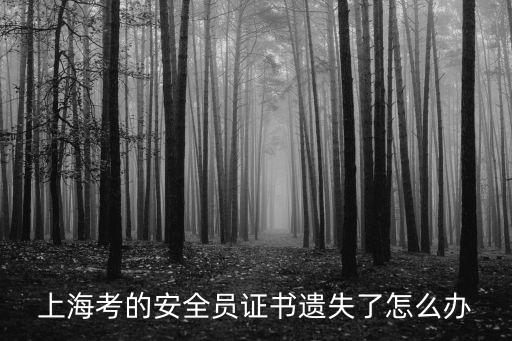 上海市考安全員證缺考，以前報(bào)名考安全員B證但沒(méi)去考試現(xiàn)在無(wú)法重新報(bào)考和注銷(xiāo)