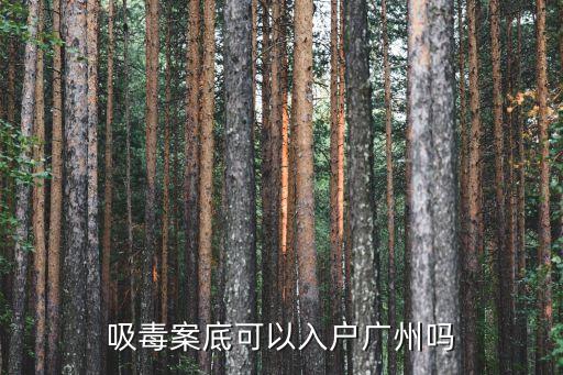 有犯罪記錄能申請廣州戶口嗎，有違法犯罪記錄可以入戶廣州嗎
