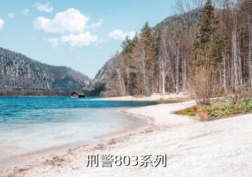 上海市刑警總隊(duì)803，上海刑警803是干嘛呢聽(tīng)說(shuō)執(zhí)行特別任務(wù)的