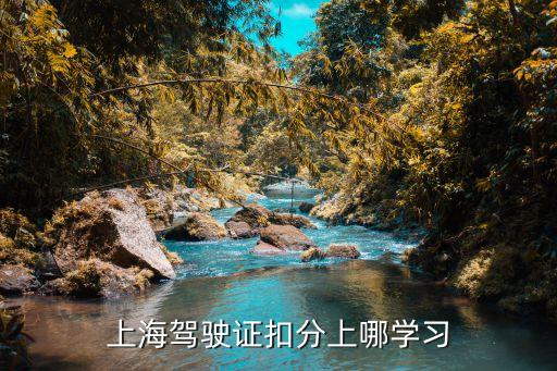 上海市駕駛證滿分教育地點，上海駕駛證扣分上哪學習