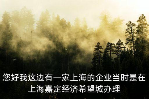 您好我這邊有一家上海的企業當時是在上海嘉定經濟希望城辦理