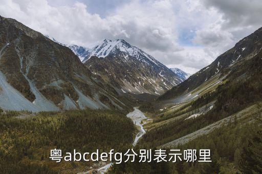 佛山牌廣州牌地址，我想問一下粵E是佛山車牌那么粵A到Z分別是哪個市的