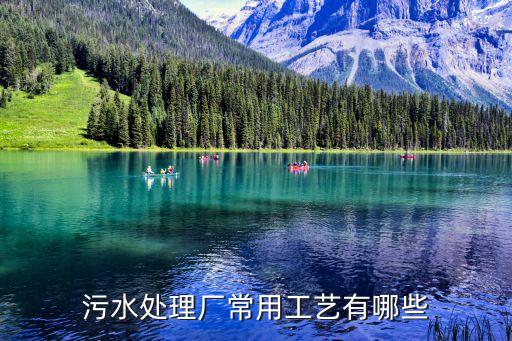 廣州工業污水處理廠工藝，污水處理廠工藝流程