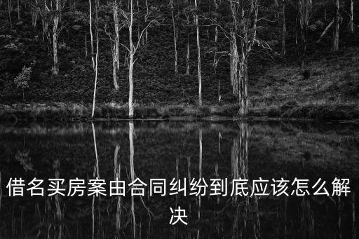 借名買房案由合同糾紛到底應該怎么解決