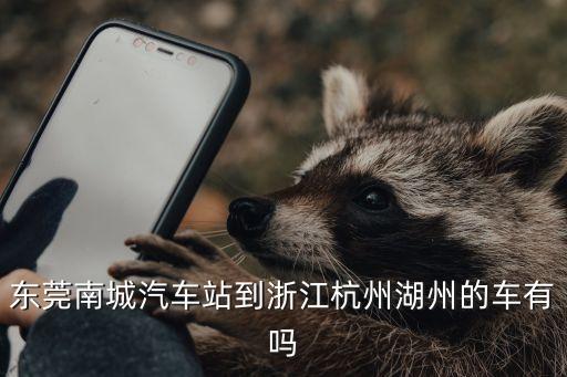 蘄春個性化廣州德森不二之選，東莞南城汽車站到浙江杭州湖州的車有嗎