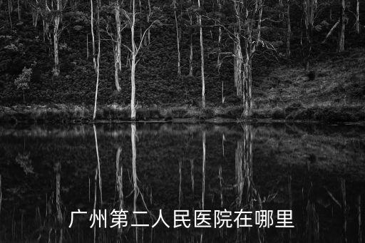 廣州第二人民醫(yī)院在哪里