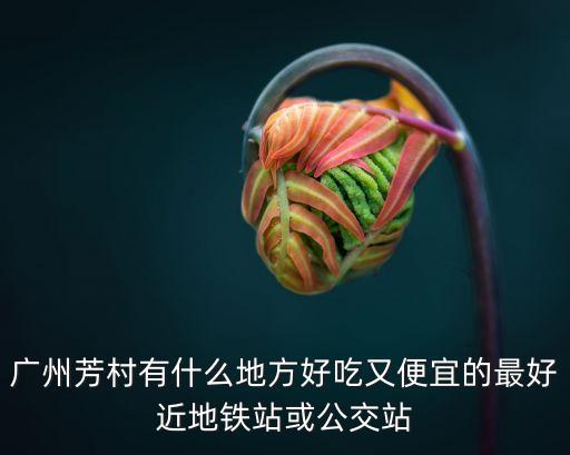 *下廣州芳村的菜價(jià)，廣州芳村有什么地方好吃又便宜的最好近地鐵站或公交站