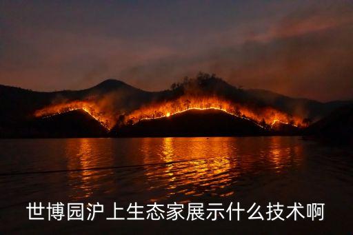 上海市生態(tài)環(huán)境局長(zhǎng)，市生態(tài)委環(huán)境監(jiān)查局局長(zhǎng)是什么級(jí)別