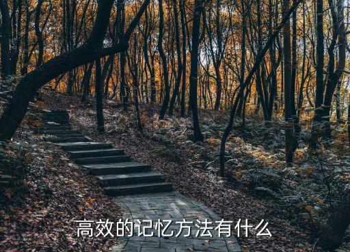記憶的方法和技巧，有什么方法能讓記憶好點