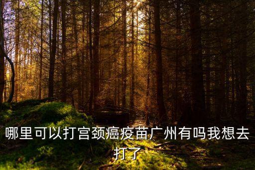 廣州哪里可以找到九價疫苗打，哪里可以打?qū)m頸癌疫苗廣州有嗎我想去打了