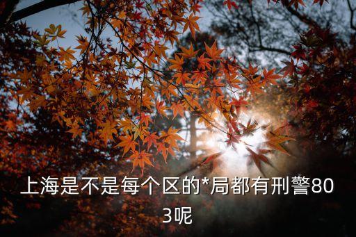 上海市刑偵總隊(duì)依，上海是不是每個(gè)區(qū)的*局都有刑警803呢