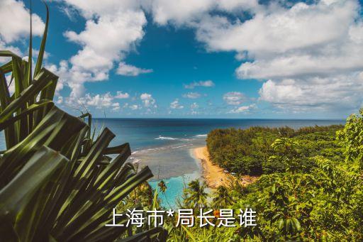 上海市*局金山分人事任免，上海*新局長是誰