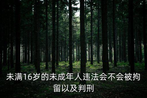 廣州未成年人違法違紀(jì)，求廣州市未成年人或者青少年網(wǎng)絡(luò)犯罪的案例新聞