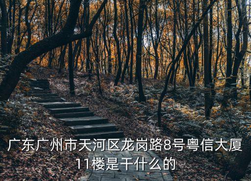 廣州邦君國際，廣東廣州市天河區(qū)龍崗路8號粵信大廈11樓是干什么的