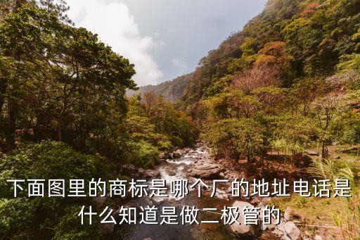廣州納亨電子科技有限公司，下面圖里的商標(biāo)是哪個(gè)廠的地址電話是什么知道是做二極管的