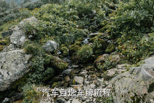 廣州車牌自選編號的具體流程，廣州車輛如何選號