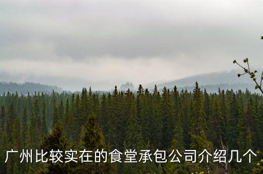 廣州寫字樓食堂承包口碑好，廣州食堂承包那家比較好做到員工滿意80以上的