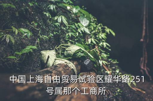 上海市市浦東新區市場監督管理局，中國上海自由貿易試驗區耀華路251號屬那個工商所