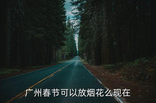 廣州市從化區(qū)能放煙花嗎，今年元宵節(jié)廣州哪個(gè)地方可以看煙花