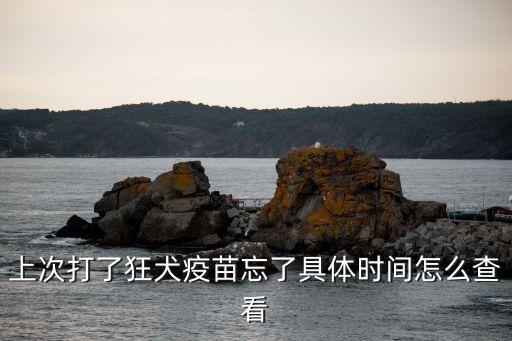 上次打了狂犬疫苗忘了具體時間怎么查看
