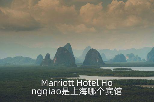上海市長寧區開倫旅店，想知道上海市 上海番愚路222號就近有什么賓館 在哪