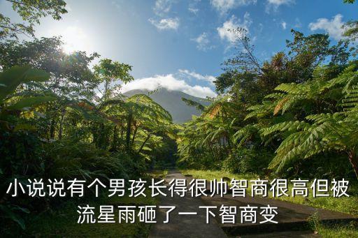 元氣少年小說，小說說有個男孩長得很帥智商很高但被流星雨砸了一下智商變