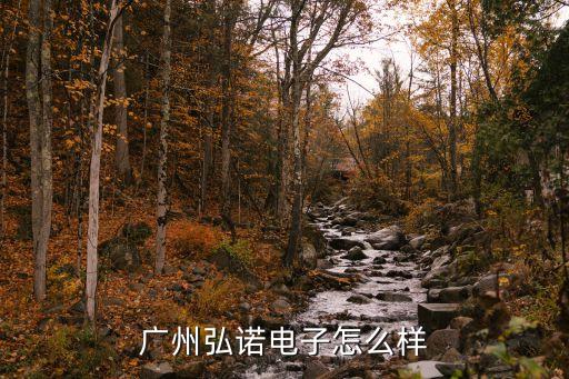 廣州炫諾電子科技有限公司怎么樣，廣州弘諾電子怎么樣