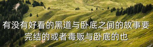 黑道臥底，一部國外搞笑*臥底聯邦調查員的電影
