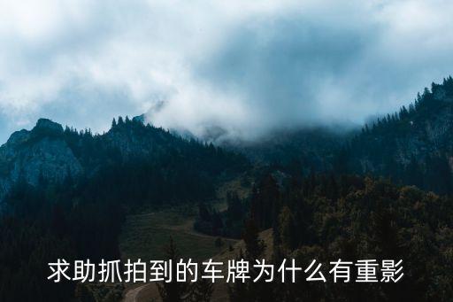廣州車牌字母重影，廣州車牌字母如何辯別單雙號