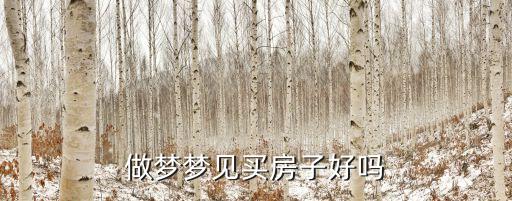 做夢買房子是什么預(yù)兆，周公解夢夢見買新房子