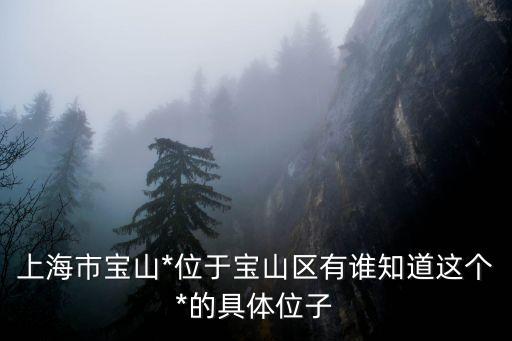 上海市寶山*九監(jiān)區(qū)，上海市寶山*位于寶山區(qū)有誰(shuí)知道這個(gè)*的具體位子