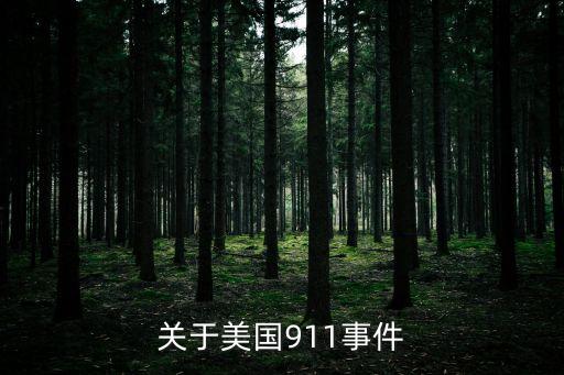 波士頓慘案，關于美國911事件
