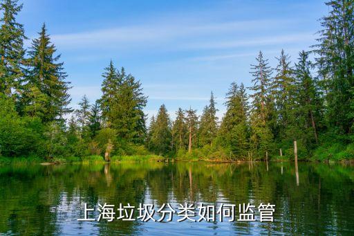 上海市生活垃圾如何定點，上海垃圾分類怎么運送的