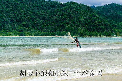 胡蘿卜小米粥，小米胡蘿卜粥的做法小米胡蘿卜粥怎么做好吃小米胡