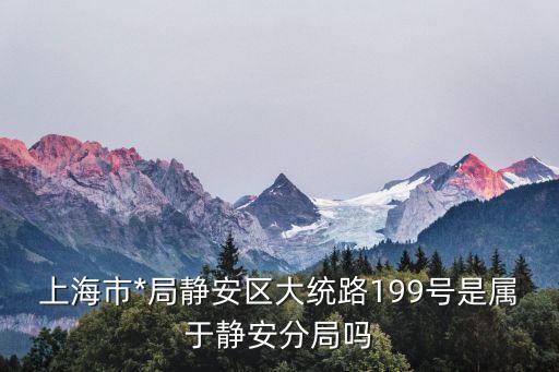 上海市*靜安分局稅號，上海市*局靜安區大統路199號是屬于靜安分局嗎