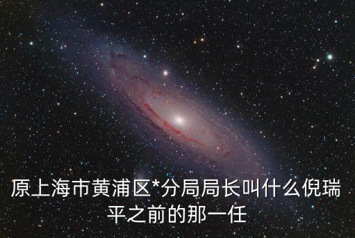 上海市*局黃浦區局長，原上海市黃浦區*分局局長叫什么倪瑞平之前的那一任