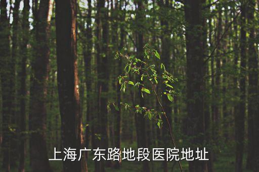 上海市華陽地段醫(yī)院服務(wù)電話號碼，上海廣東路地段醫(yī)院地址